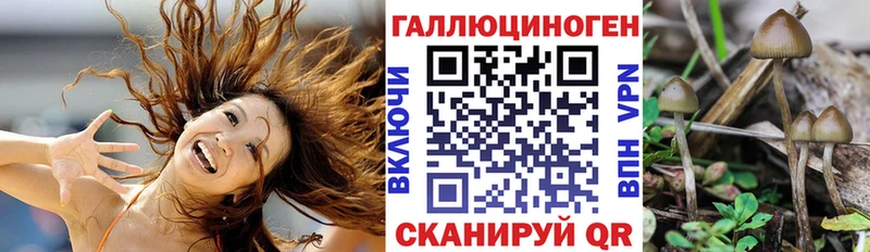 Галлюциногенные грибы Magic Shrooms  Казань 
